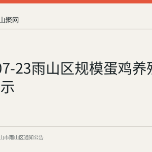 2026-07-23雨山区规模蛋鸡养殖者情况公示