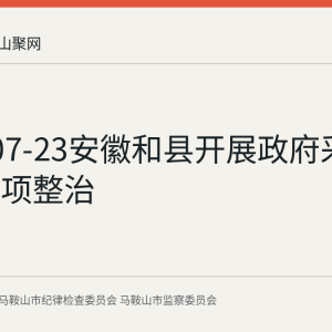 2026-07-23安徽和县开展政府采购领域专项整治