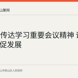 雨山区传达学习重要会议精神 谋划AI产业促发展