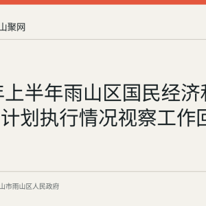 2026年上半年雨山区国民经济和社会发展计划执行情况视察工作回顾