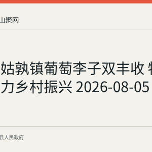 当涂县姑孰镇葡萄李子双丰收 特色农业助力乡村振兴 2026-08-05