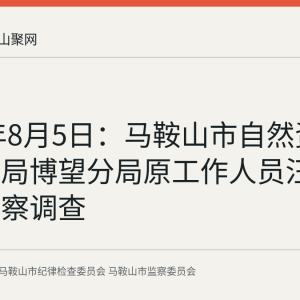 2026年8月5日：马鞍山市自然资源和规划局博望分局原工作人员汪洋接受监察调查