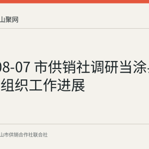 2026-08-07 市供销社调研当涂县供销基层组织工作进展