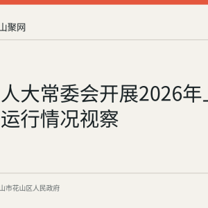 花山区人大常委会开展2026年上半年经济运行情况视察