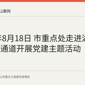 2026年8月18日 市重点处走进湖北路过江通道开展党建主题活动