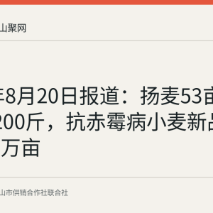 2026年8月20日报道：扬麦53亩产突破1200斤，抗赤霉病小麦新品种推广百万亩