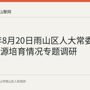 2026年8月20日雨山区人大常委会开展税源培育情况专题调研