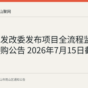 雨山区发改委发布项目全流程监管服务采购公告 2026年7月15日截止
