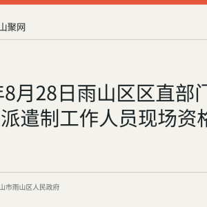 2026年8月28日雨山区区直部门公开招聘派遣制工作人员现场资格审查安排