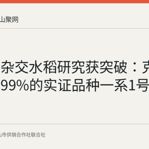 一系法杂交水稻研究获突破：克隆效率超99%的实证品种一系1号问世