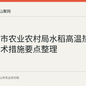 马鞍山市农业农村局水稻高温热害应对技术措施要点整理