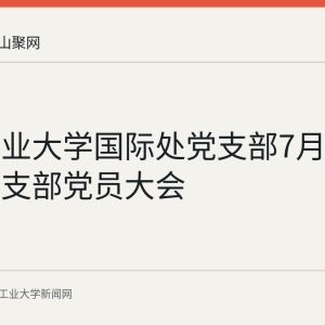 安徽工业大学国际处党支部7月31日召开支部党员大会