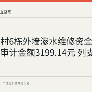 东苑六村6栋外墙渗水维修资金使用公示：审计金额3199.14元 列支6户业主