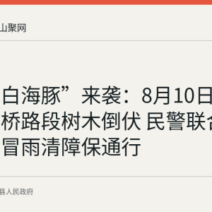 台风“白海豚”来袭：8月10日当涂县石桥路段树木倒伏 民警联合乡镇干部冒雨清障保通行