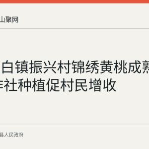 当涂太白镇振兴村锦绣黄桃成熟上市 合作社种植促村民增收