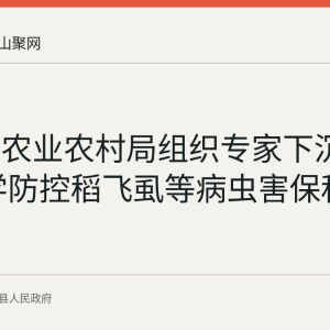 含山县农业农村局组织专家下沉一线 科学防控稻飞虱等病虫害保秋粮