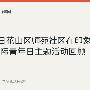 8月12日花山区师苑社区在印象汇举办国际青年日主题活动回顾