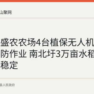 当涂县盛农农场4台植保无人机开展水稻飞防作业 南北圩3万亩水稻面积保持稳定