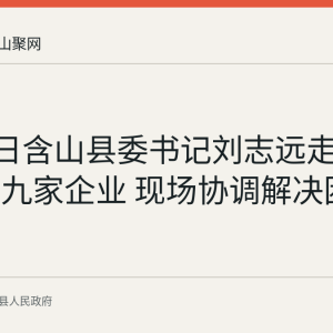 8月21日含山县委书记刘志远走访经开区九家企业 现场协调解决困难问题