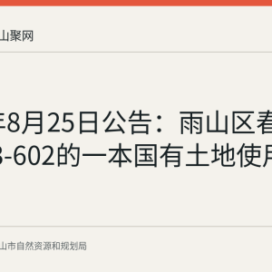 2026年8月25日公告：雨山区春晖家园43-602的一本国有土地使用证作废