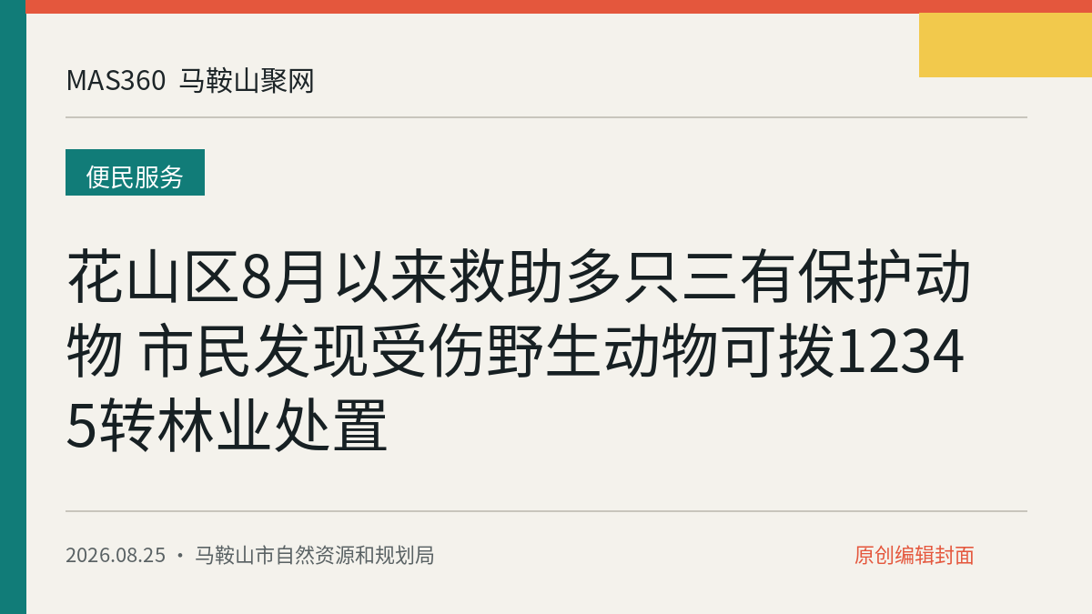花山区8月以来救助多只三有保护动物 市民发现受伤野生动物可拨12345转林业处置