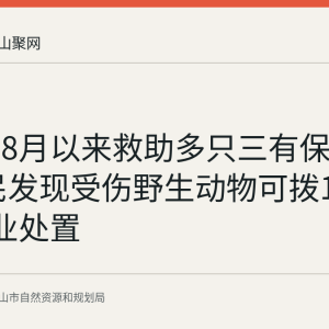 花山区8月以来救助多只三有保护动物 市民发现受伤野生动物可拨12345转林业处置