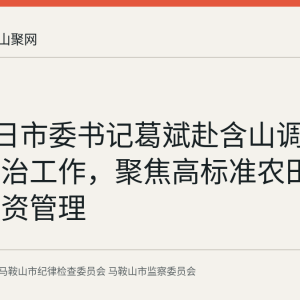 8月24日市委书记葛斌赴含山调研集中整治工作，聚焦高标准农田与农村三资管理