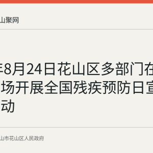 2026年8月24日花山区多部门在印象汇广场开展全国残疾预防日宣传服务活动