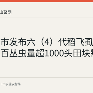 马鞍山市发布六（4）代稻飞虱防治意见：百丛虫量超1000头田块需立即施药
