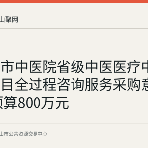 马鞍山市中医院省级中医医疗中心扩建项目全过程咨询服务采购意向公布 预算800万元