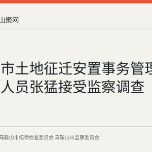 马鞍山市土地征迁安置事务管理中心工作人员张猛接受监察调查
