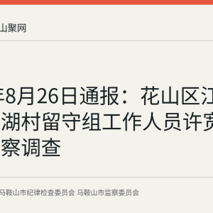 2026年8月26日通报：花山区江东街道上湖村留守组工作人员许宽来接受监察调查