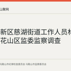 慈湖高新区慈湖街道工作人员林静静接受花山区监委监察调查
