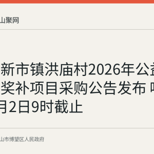 博望区新市镇洪庙村2026年公益事业财政奖补项目采购公告发布 响应文件9月2日9时截止