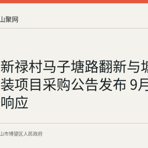 新市镇新禄村马子塘路翻新与塘堤护栏加装项目采购公告发布 9月14日截止响应
