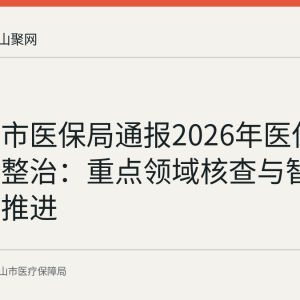 马鞍山市医保局通报2026年医保基金专项整治：重点领域核查与智能监管双推进