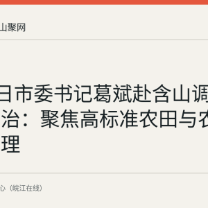 8月24日市委书记葛斌赴含山调研集中整治：聚焦高标准农田与农村三资管理