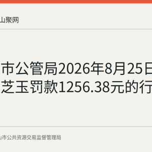 马鞍山市公管局2026年8月25日公布对徐芝玉罚款1256.38元的行政处罚决定