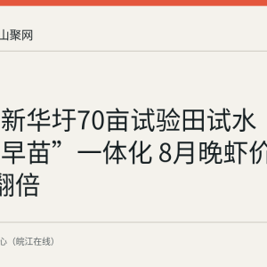 博望区新华圩70亩试验田试水“早稻晚虾早苗”一体化 8月晚虾价格较5月翻倍