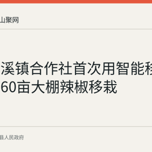 当涂乌溪镇合作社首次用智能移栽机完成60亩大棚辣椒移栽