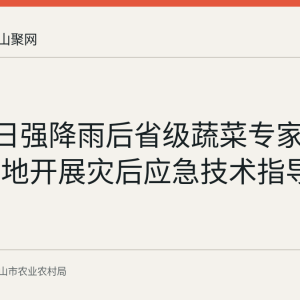 5月24日强降雨后省级蔬菜专家赴和县基地开展灾后应急技术指导回顾