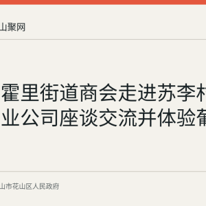 花山区霍里街道商会走进苏李村秋之畔农业公司座谈交流并体验葡萄采摘