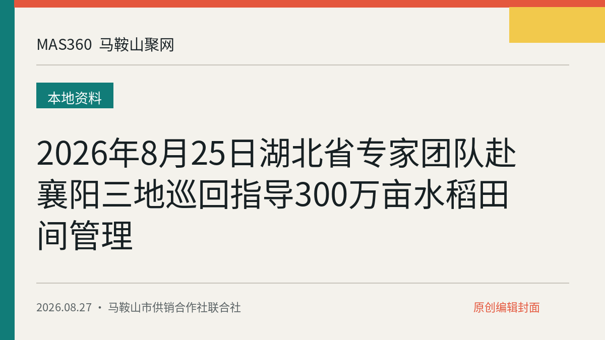 2026年8月25日湖北省专家团队赴襄阳三地巡回指导300万亩水稻田间管理