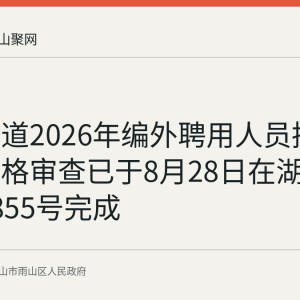 平湖街道2026年编外聘用人员招聘现场资格审查已于8月28日在湖南东路2855号完成