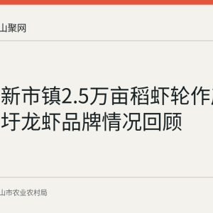 博望区新市镇2.5万亩稻虾轮作产业与新华圩龙虾品牌情况回顾