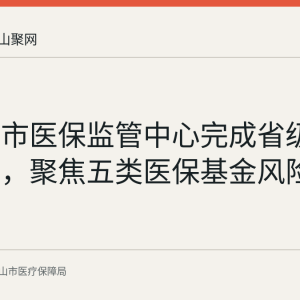 马鞍山市医保监管中心完成省级飞行检查，聚焦五类医保基金风险点核查