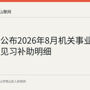 雨山区公布2026年8月机关事业单位就业见习补助明细