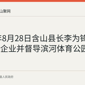 2026年8月28日含山县长李为锋调研工业企业并督导滨河体育公园改造项目