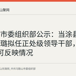 马鞍山市委组织部公示：当涂县副县长唐璐拟任正处级领导干部，9月4日前可反映情况
