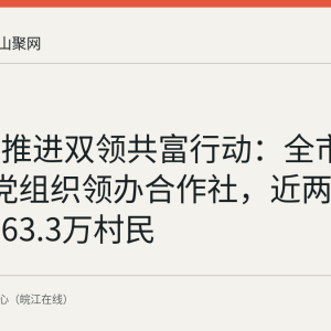 马鞍山推进双领共富行动：全市341个村党组织领办合作社，近两年分红惠及63.3万村民